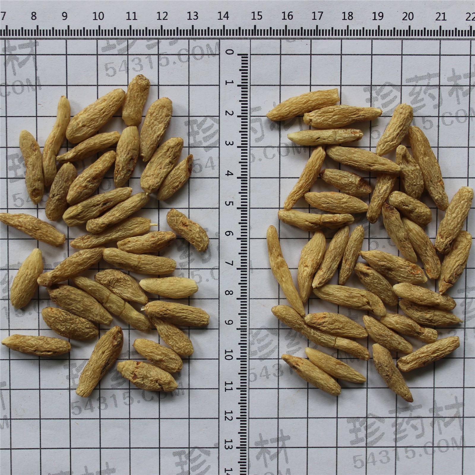 麦冬无硫特级半精品100粒