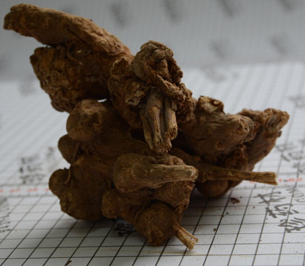白术大统