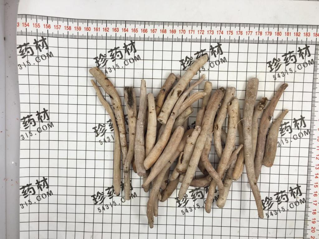 白芍三四级