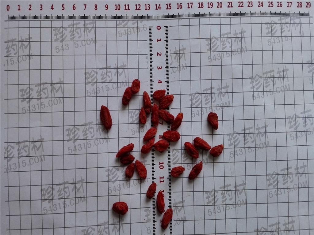 枸杞子370粒