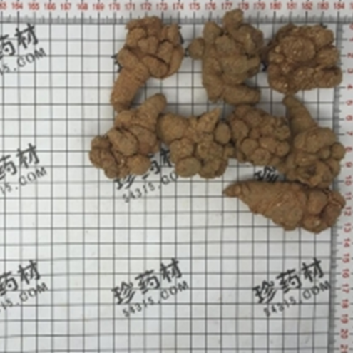 三七30