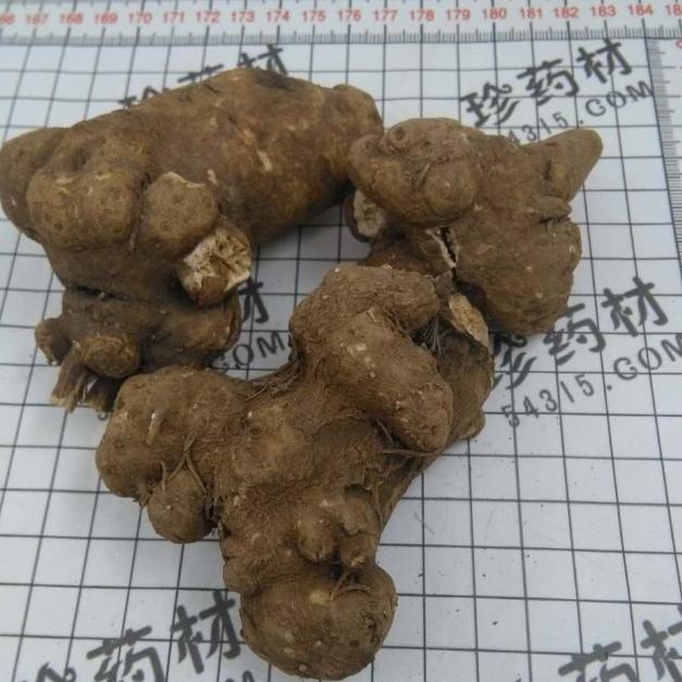 白术统货