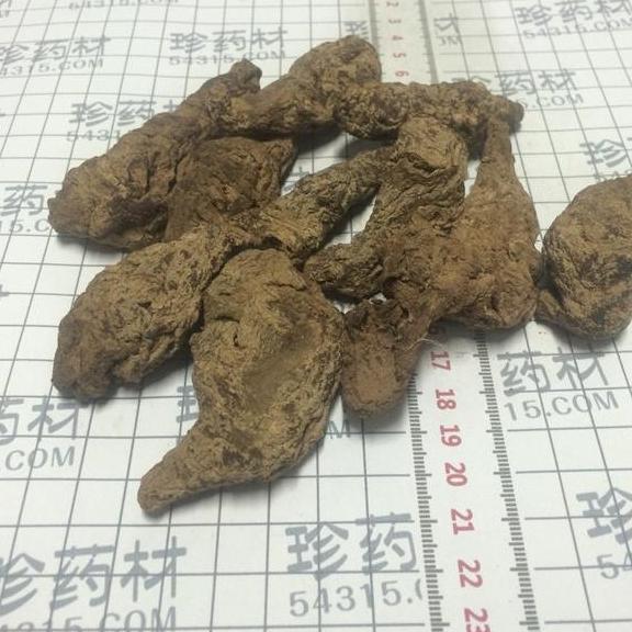 地黄四级