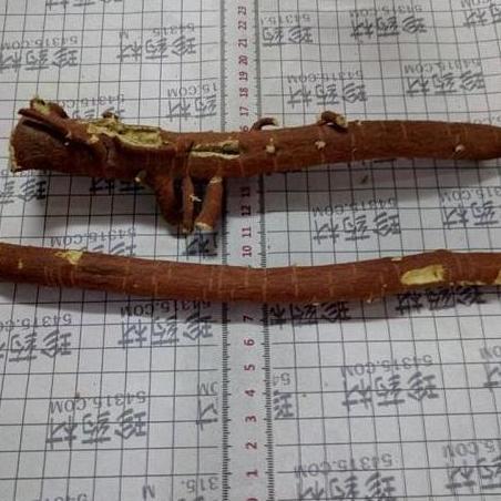 甘草统个