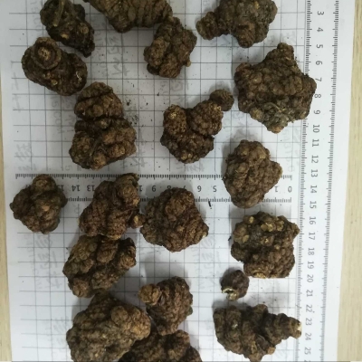 川芎晒统，炕统