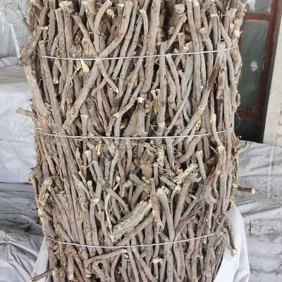 甘草药厂投料原草（去土去杂）