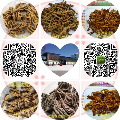 黄连统货