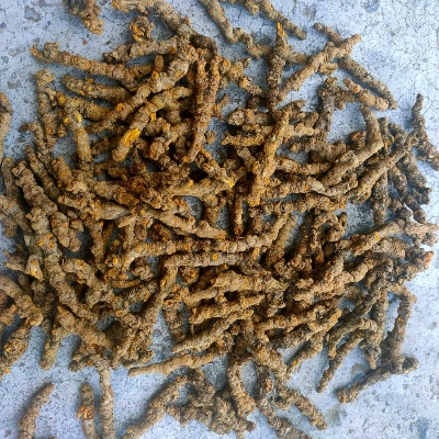 黄连单支统